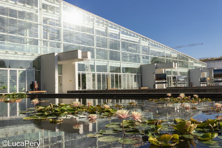 orto botanico Padova