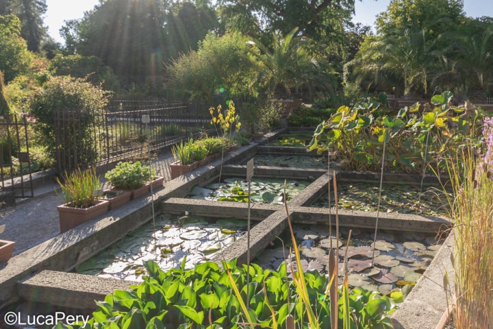 orto botanico Padova