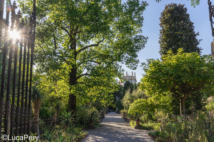 orto botanico Padova