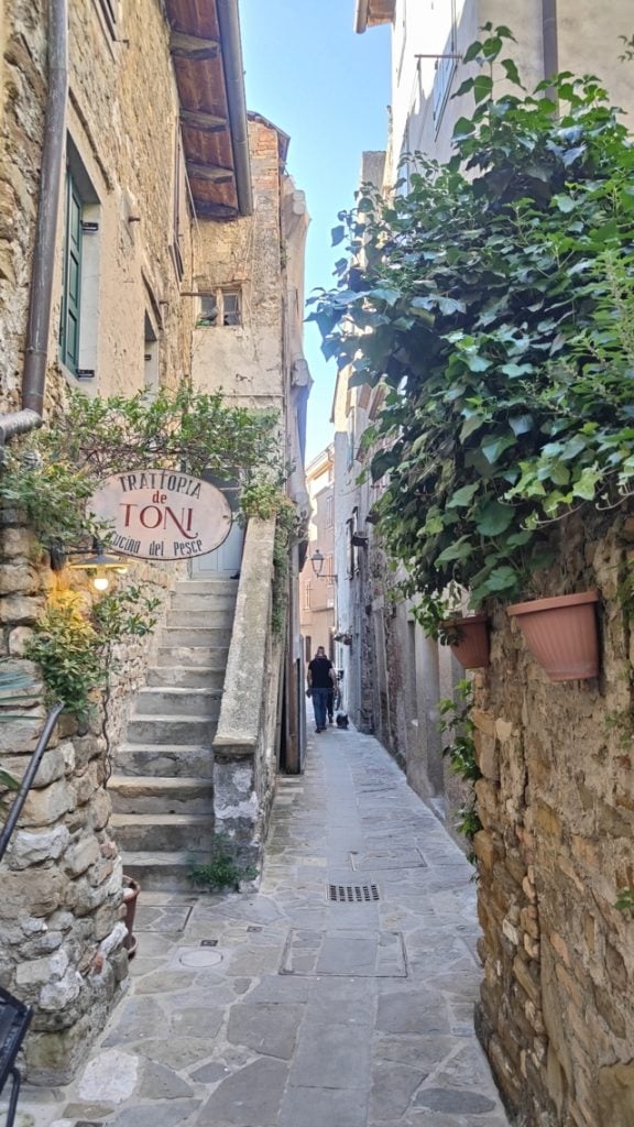 cosa vedere a grado in un giorno