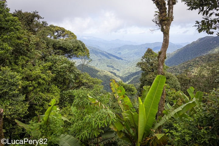 visita cameron highlands guida completa