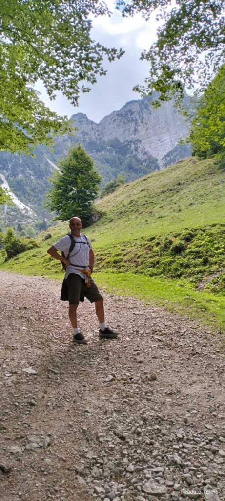 sentiero grandi alberi