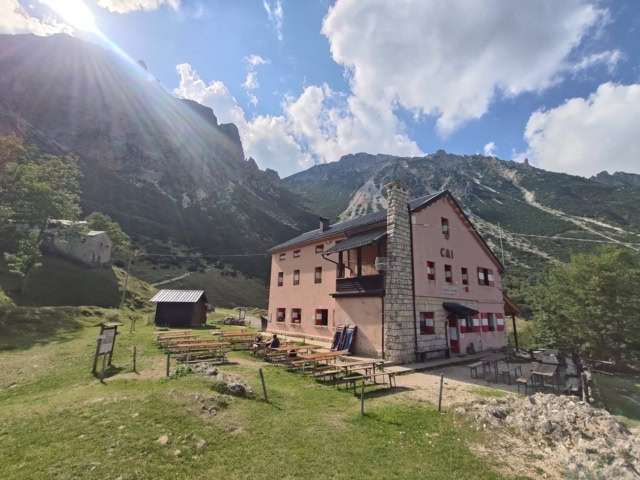 sentiero grandi alberi