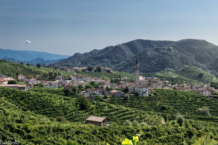 foliage in Veneto