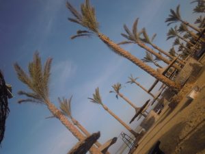 Sharm el Sheikh: fregatura in vacanza.