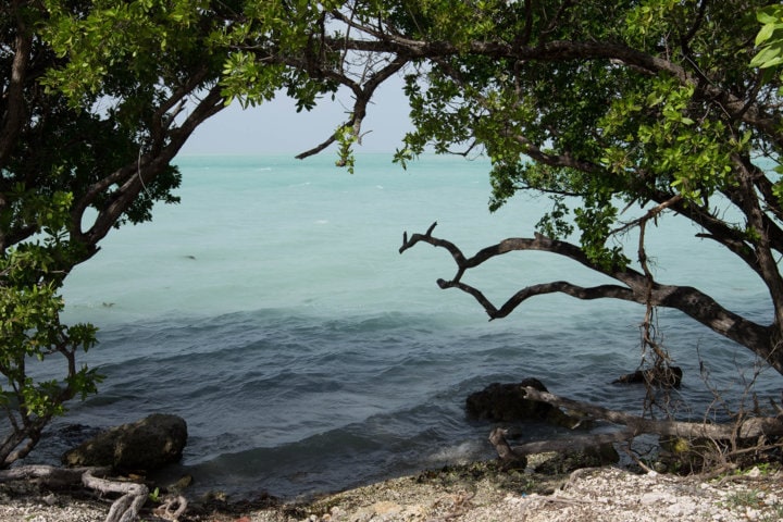 Florida Keys: cosa vedere alle isole Keys in un giorno