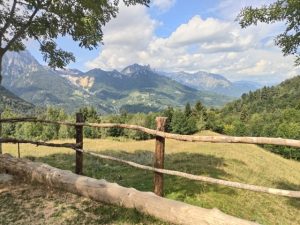 Sentiero dei Grandi Alberi: escursione, percorso e mappa