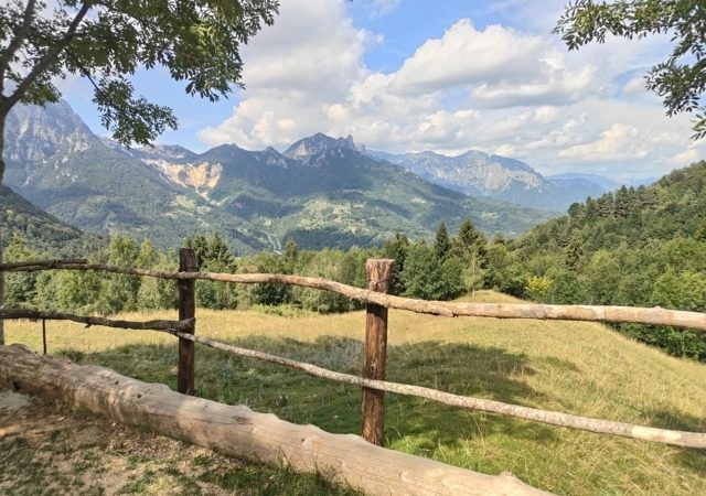Sentiero dei Grandi Alberi: escursione, percorso e mappa