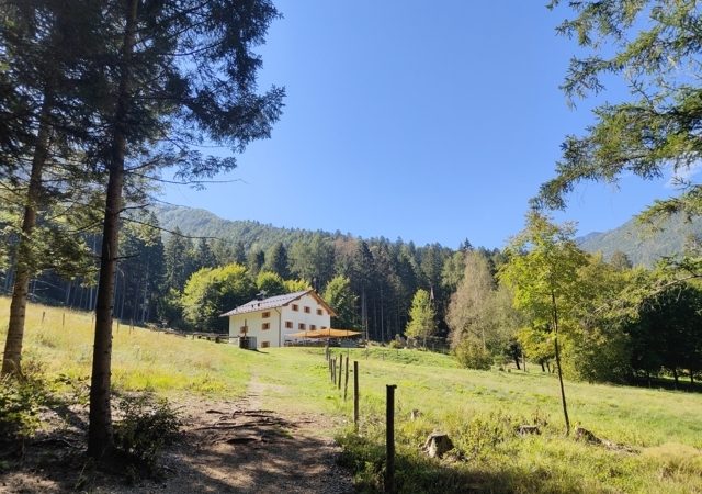 Escursione al sentiero Suoni del bosco e al ponte sospeso tibetano a Caralte di Cadore