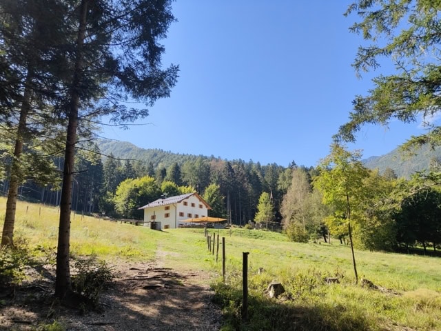 Escursione al sentiero Suoni del bosco e al ponte sospeso tibetano a Caralte di Cadore