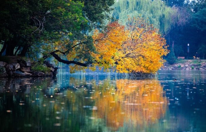Foliage in Veneto: 8 luoghi dove ammirarlo