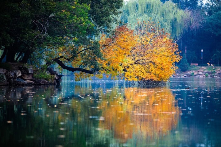 Foliage in Veneto: 8 luoghi dove ammirarlo